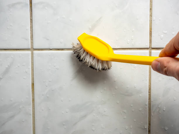 Mold Removal Process in Jones Creek, TX
