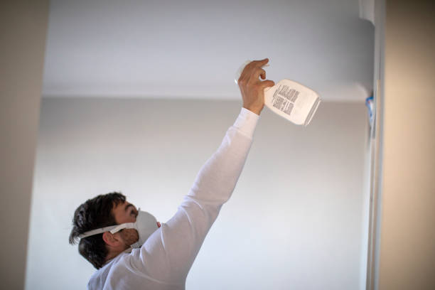 Best Same-Day Mold Removal  in Jones Creek, TX