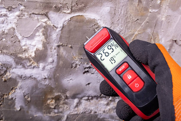 Best Commercial Mold Removal  in Jones Creek, TX