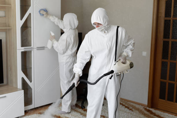 Mold Removal Process in Jones Creek, TX