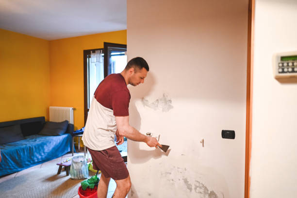 Home Mold Removal in Jones Creek, TX
