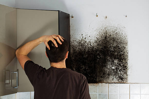 Certified Mold Removal in Jones Creek, TX