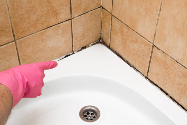 Mold Testing and Removal in Jones Creek, TX